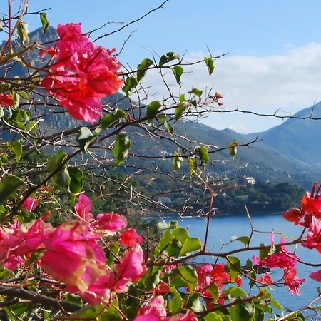 Lejlighed Sud Maratea